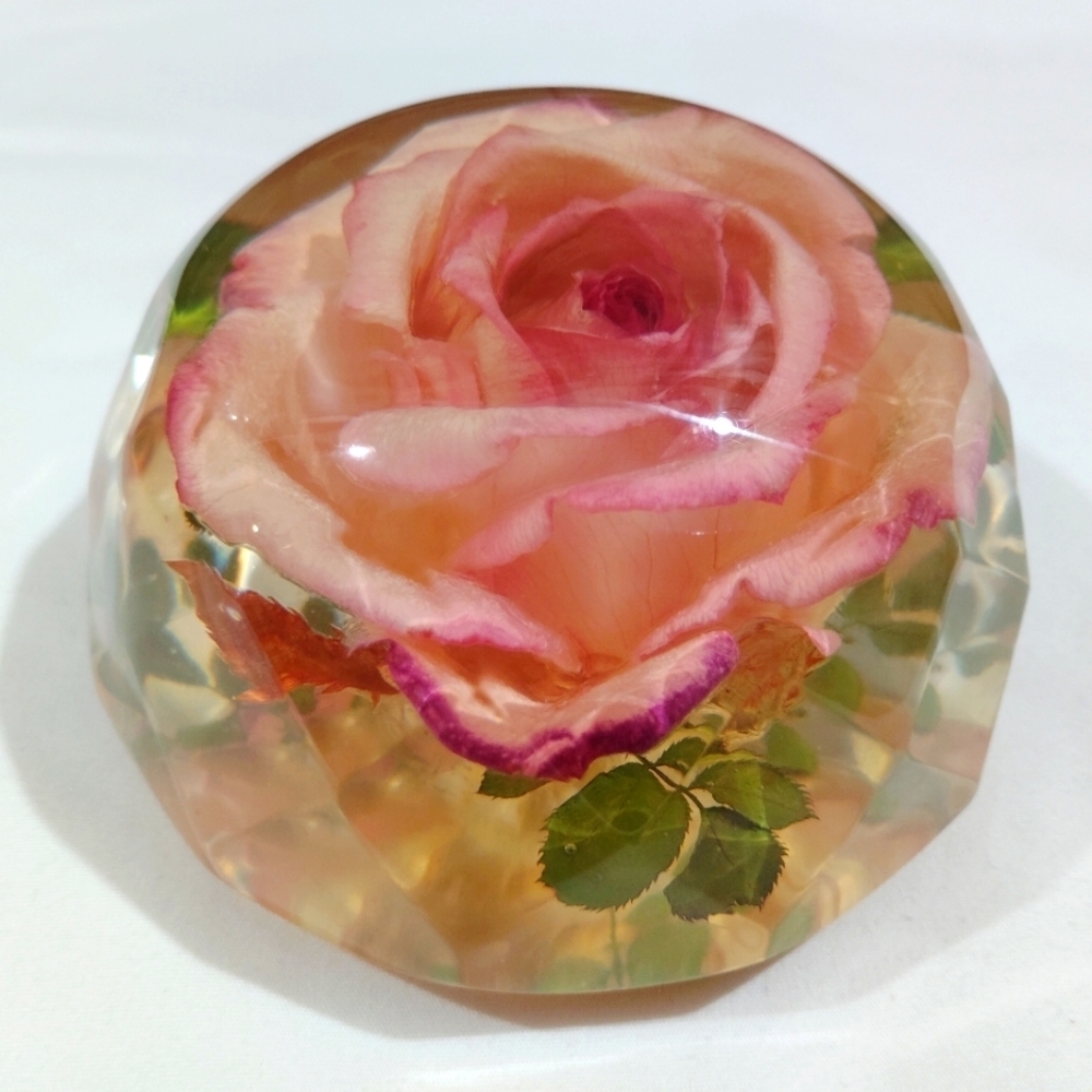 Vintage Rolfe Signed Rose Paperweight Real Flower Preserved Lucite Acrylic Facet - Picture 5 of 15